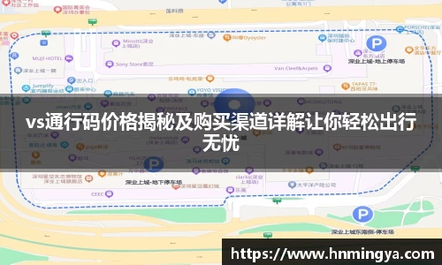 vs通行码价格揭秘及购买渠道详解让你轻松出行无忧